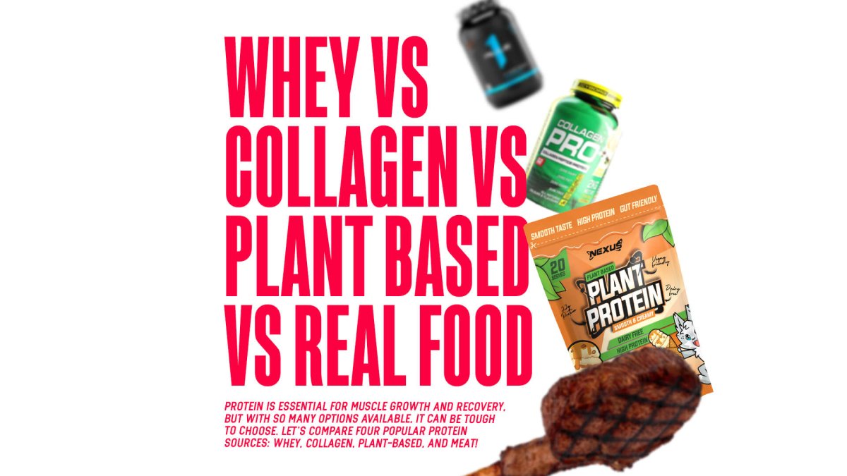 The Great Protein Showdown: Whey, Collagen, Plant-Based & Food Proteins. - MJ Fitness