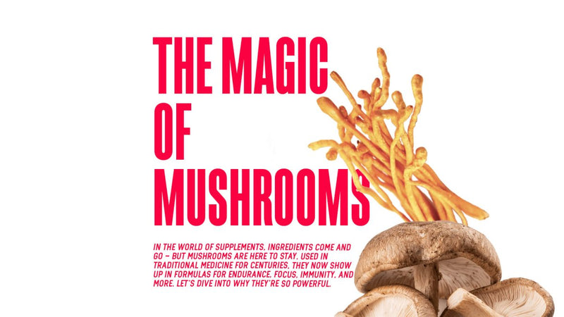 The Magic of Mushrooms - MJ Fitness