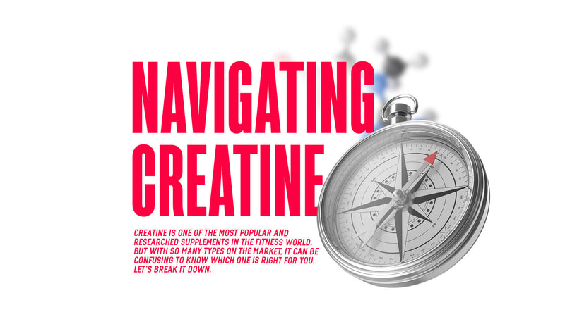 Navigating Creatine
