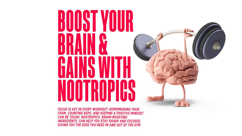 Boosting Brains & Gains With Nootropics - MJ Fitness