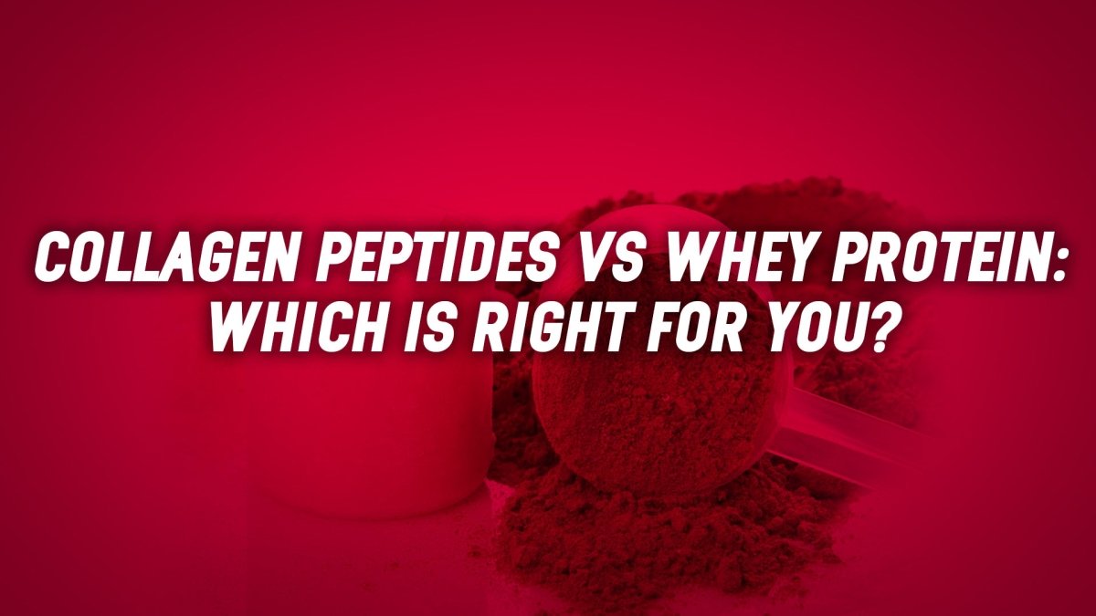 Collagen Peptides vs. Whey Protein: Which Is Right for You? - MJ Fitness
