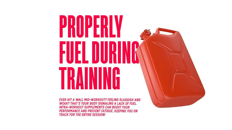 How To Properly Fuel Your Workouts - MJ Fitness