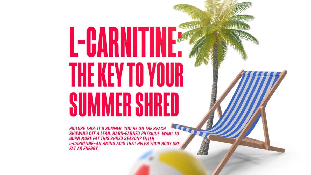 L-Carnitine: The Key To Your Summer Shreds - MJ Fitness