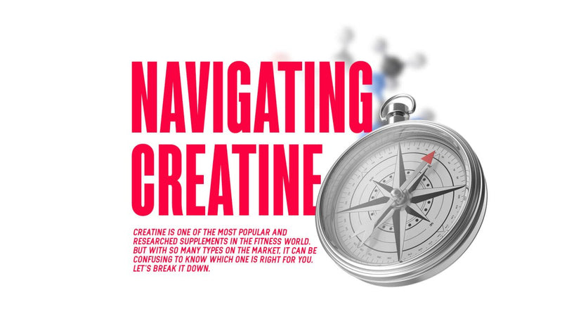 Navigating Creatine - MJ Fitness