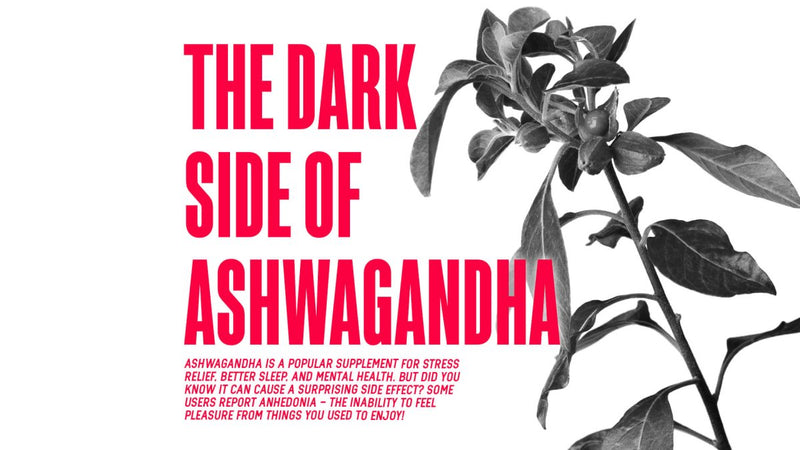 The Dark Side Of Ashwagandha - MJ Fitness