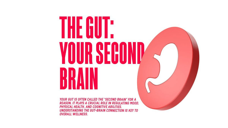 The Gut: Your Second Brain! - MJ Fitness