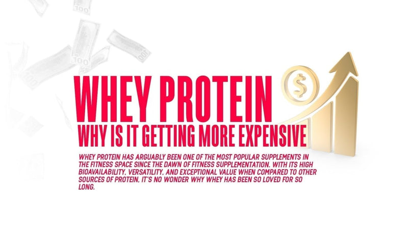 Whey Protein: Why Is It Getting More Expensive - MJ Fitness